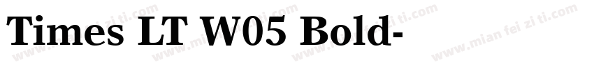 Times LT W05 Bold字体转换